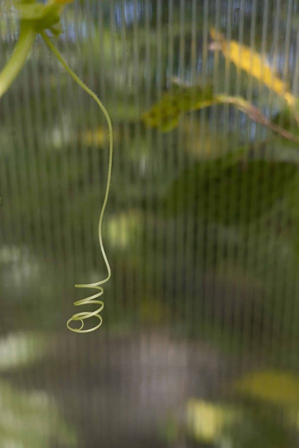 Comment les méthodes agiles peuvent-elles être adaptées aux équipes de maintenance industrielle?