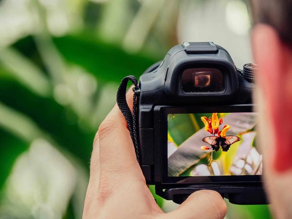 Quelle formation pour apprendre les techniques avancées de photographie aux journalistes ?